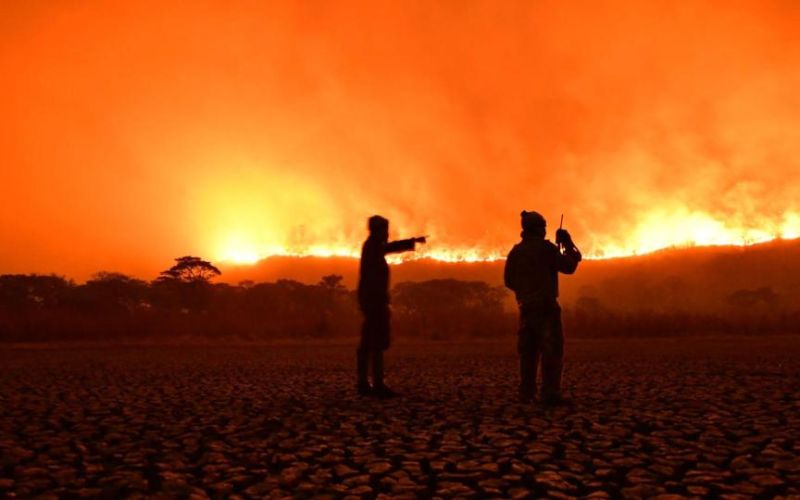 Fire Management Plan and the rescue and release of "joujou".