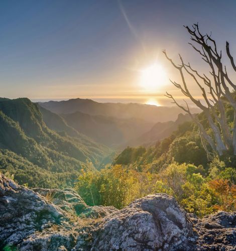 COP16: Naturaleza y Negocios, integrando la biodiversidad en las estrategias corporativas