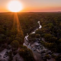 How to align your climate transition plan with COP29's key focus areas