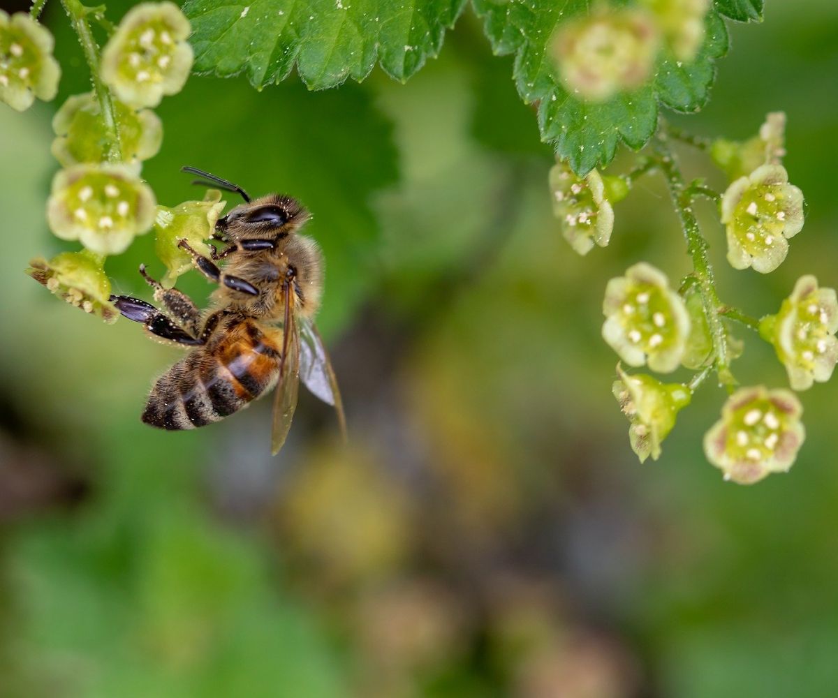 From COP28 to COP16: The critical link between climate action and biodiversity