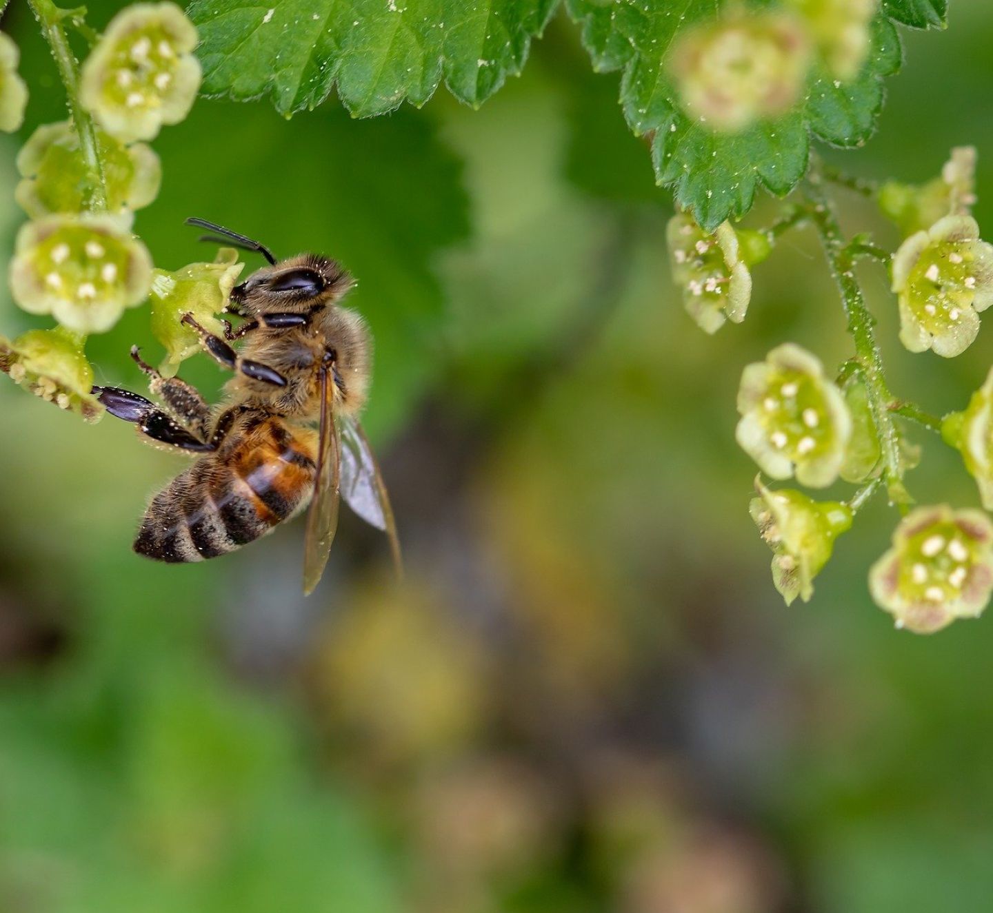 From COP28 to COP16: The critical link between climate action and biodiversity