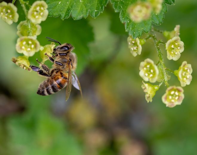 From COP28 to COP16: The critical link between climate action and biodiversity