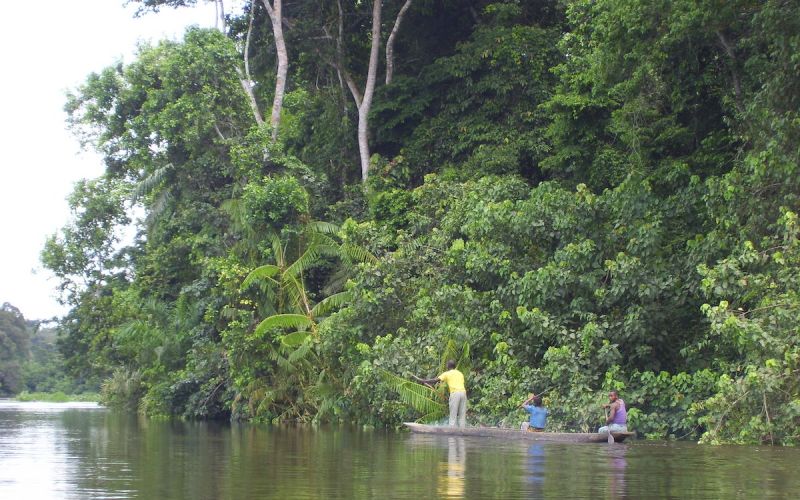 Isangi Forest Conservation Project - South Pole