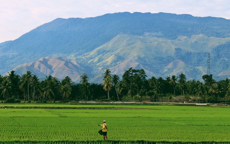 Un nouveau fonds de résilience climatique canalise financements publics et privés vers les agriculteurs et les territoires vulnérables