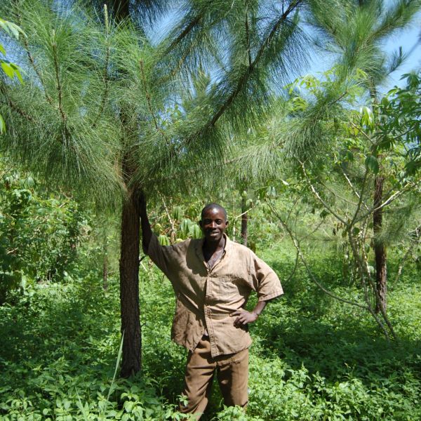 Kikonda Forest Reserve, Uganda