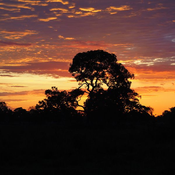 Serra do Amolar Pantanal Protection