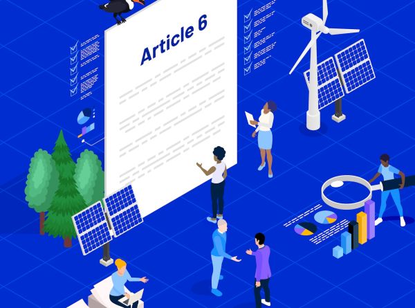 A Quick Guide to Article 6