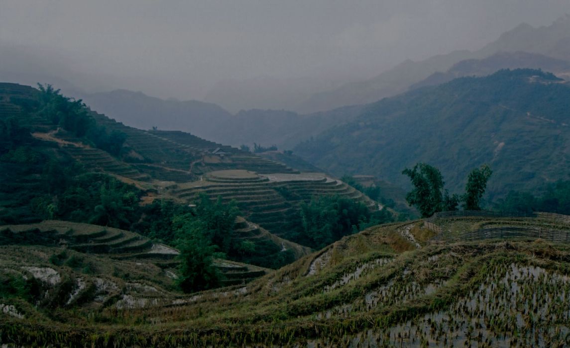 rice-terrace-vietnam.jpg