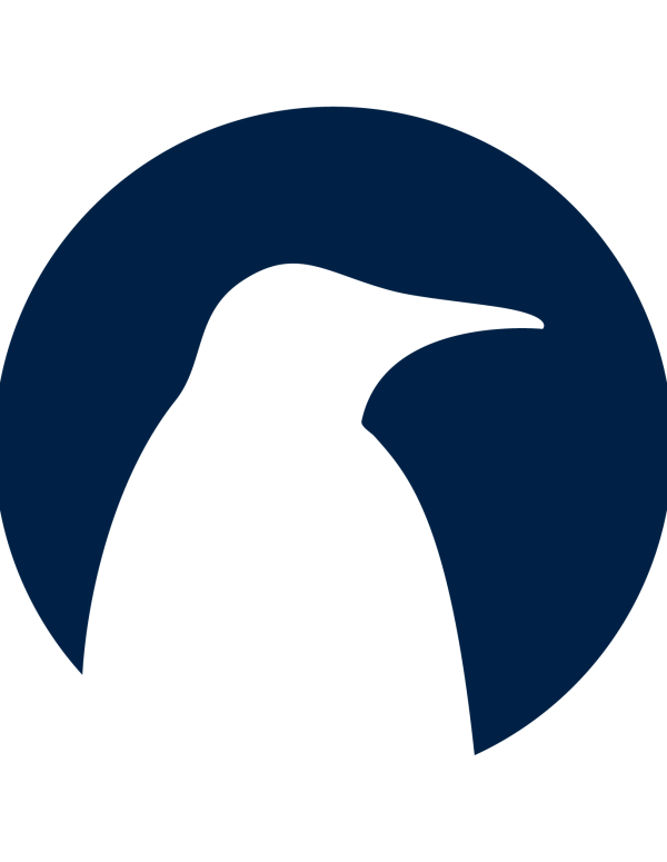 South Pole Logos Logo Mark Icon Navy